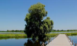 沈阳七星国际影城影讯