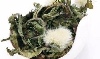 喝黄芪茶差点喝死了 喝黄芪茶差点喝死了